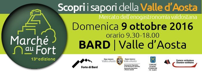 Banner FDB 2016