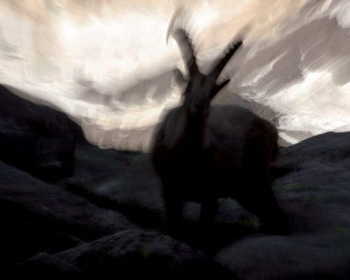 Mostra fotografica. Oltre lo scatto