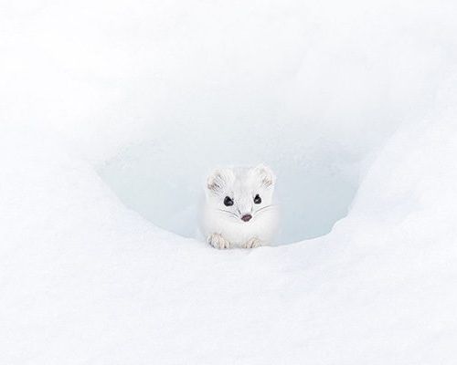 Fotografare il Parco